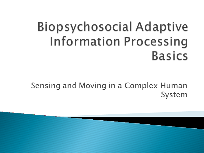 Biopsychosocial Adaptive Information Processing