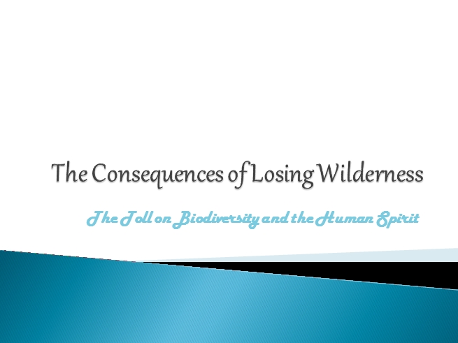 The Consequences of Losing Wilderness.pptx