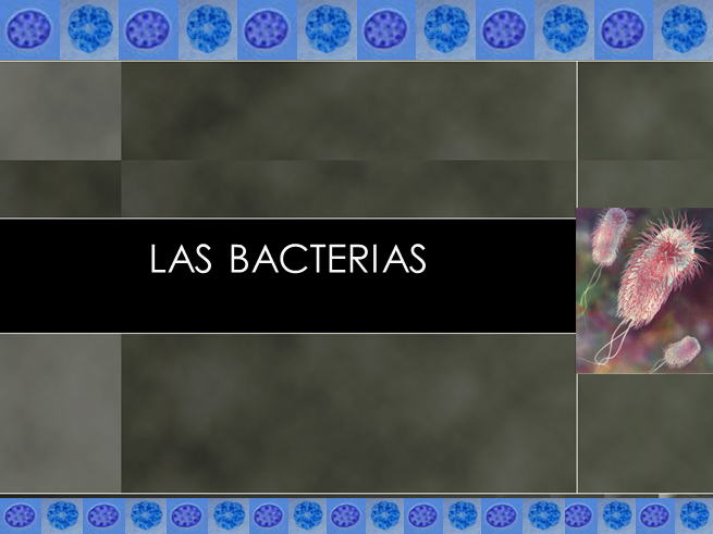 Micro Clase II.ppt