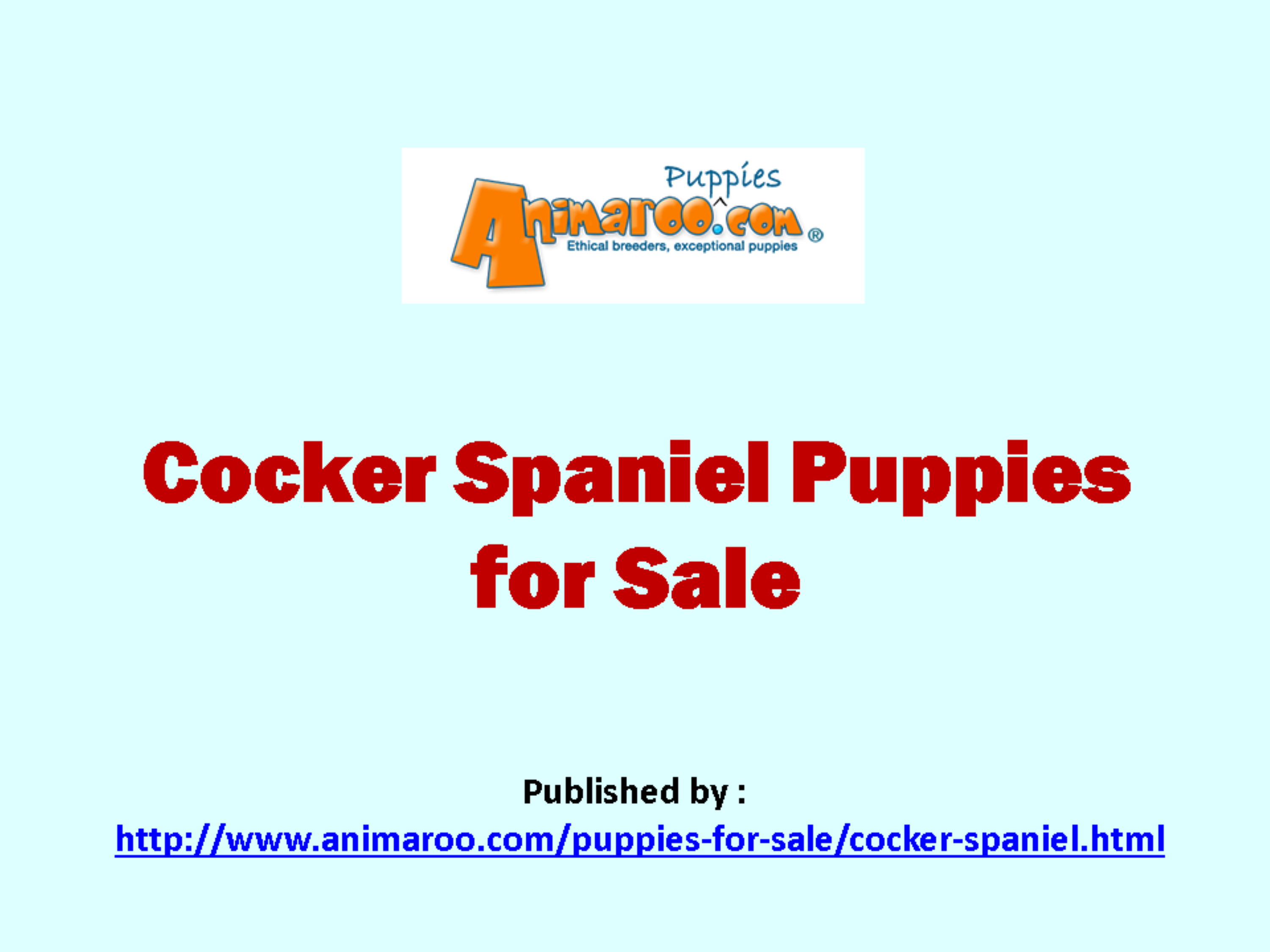 Cocker Spaniel Puppies for Sale.pptx