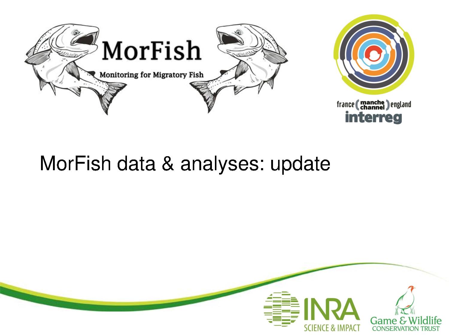 MorFish Scientific Committee meeting talk November 2013