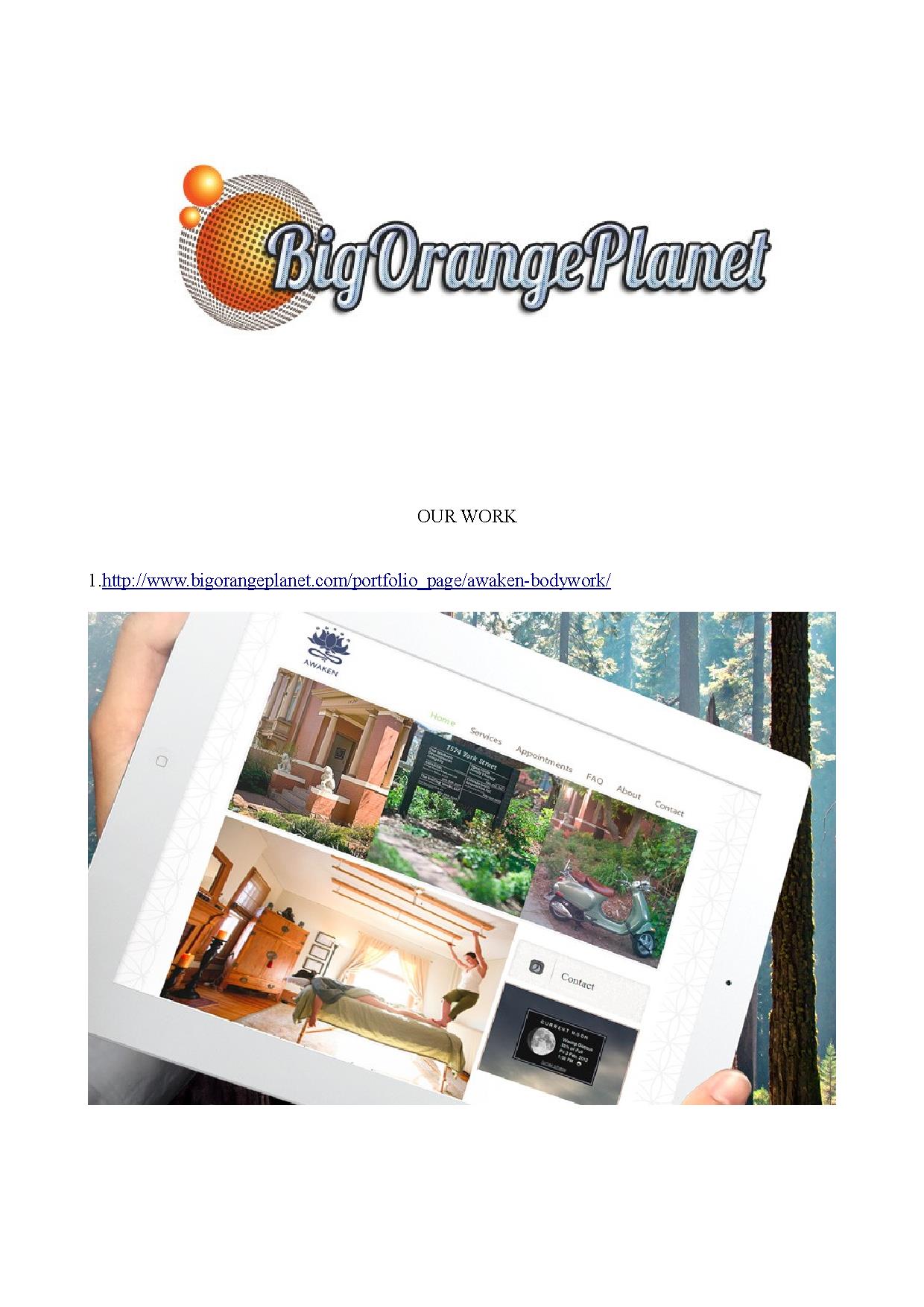 Big Orange Planet Portfolio.pdf