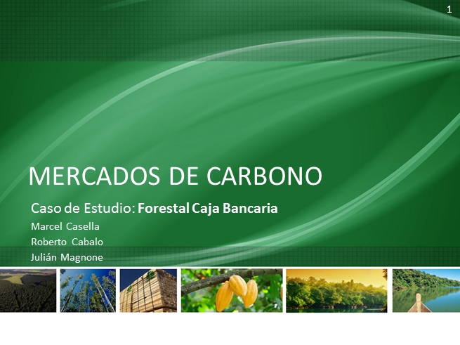 Forestry PowerPoint