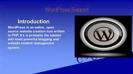 Wordpress support ppt.pptx PowerPoint Presentation PPT