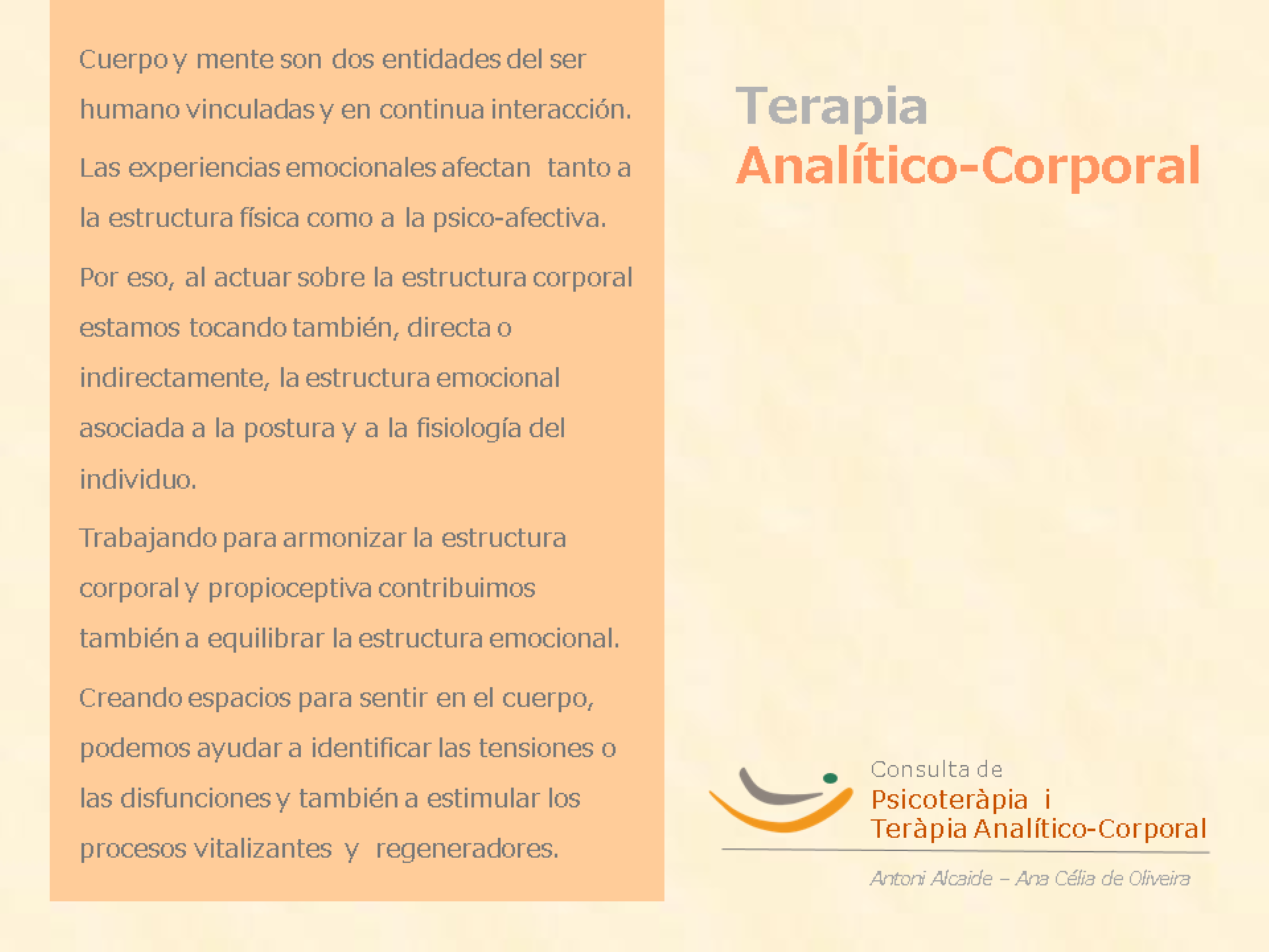 TERAPIA ANALITÍCO CORPORAL.pptx